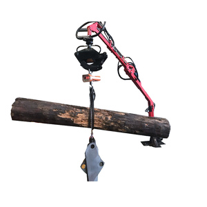 Legname rimorchio con Carico Gru, quattro registri e un log manipolatore - Product Image 3
