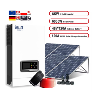 6000W 48v纯正弦波混合太阳能逆变器，支持MPPT和并联运行 - Product Image 1