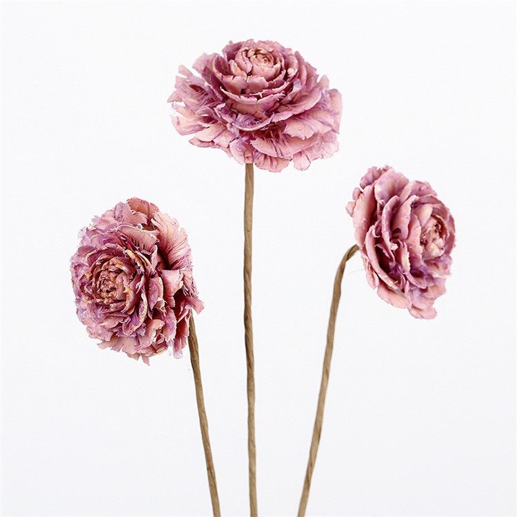 Rose garance