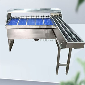 Piccolo Sizer elettrico Authomatic grado di classificazione del peso pulito livellatore uovo smistamento peso macchina stampa - Product Image 3