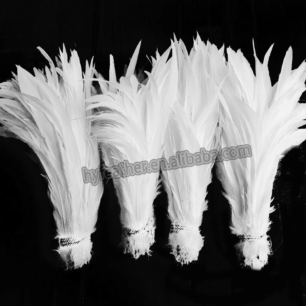 Une longue Coque blanche décorative bon marché teintée naturelle Coq Schlappen Plume Plumes de poulet Extension de cheveux