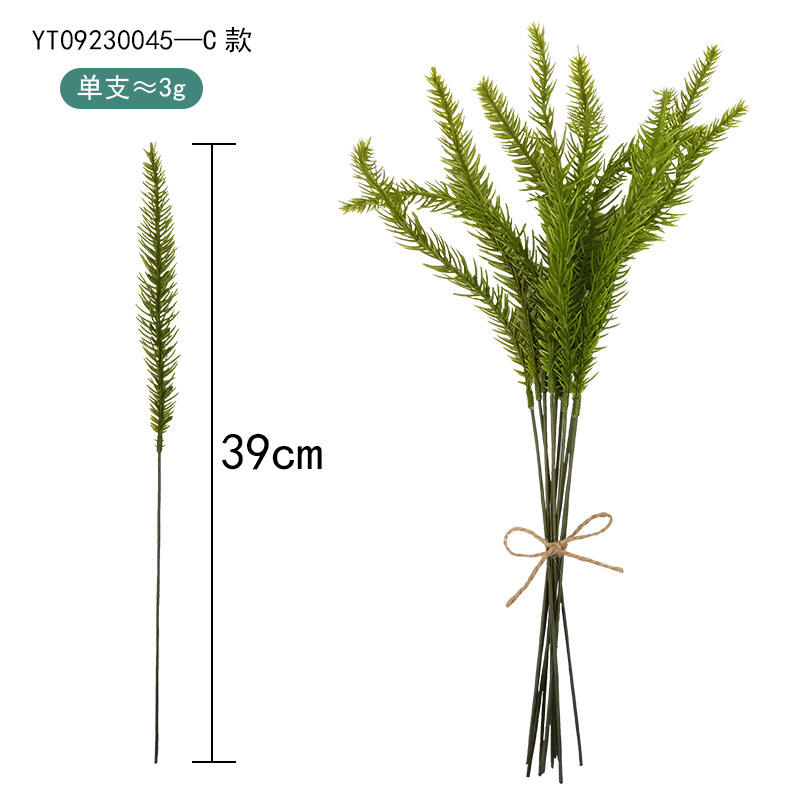 ประเภท C (สาขาสนหิน)