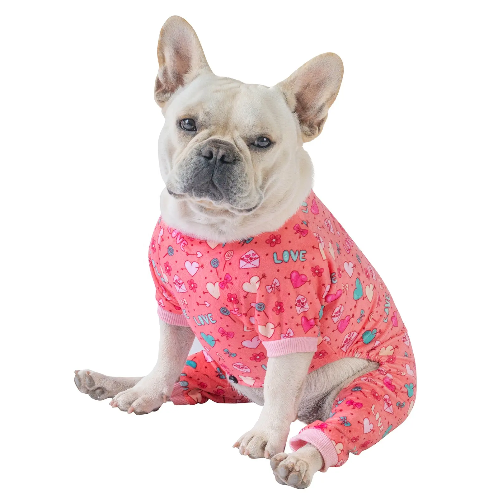 Vêtements d'hiver en Polyester pour chien, chaton, os de chat mignon, combinaison pour chien, vêtement doux, tenue pour chiot