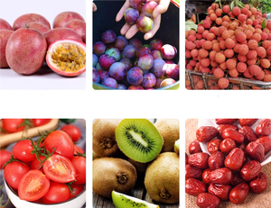 High Pressure Fruit <strong>Sorting</strong> <strong>Machine</strong> Fruit Calibrator Electronic Fruit Weight <strong>Sorting</strong> <strong>Machine</strong> - Product Image 3