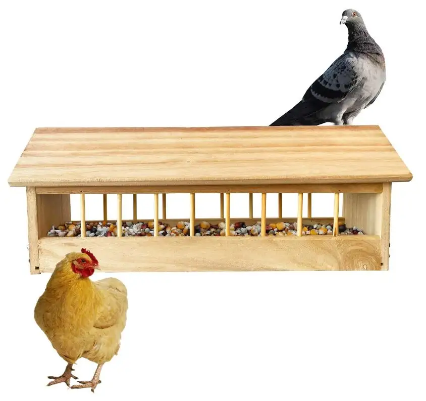 Mangeoire à pigeons en bois personnalisée Mangeoire à oiseaux Distributeur de nourriture pour pigeon Poulet Canard Oiseau Volaille Maison en bois