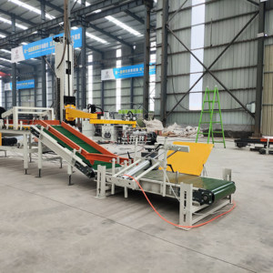 Braccio robot macchina pallettizzatore a colonna singola in cartone automatico completo - Product Image 3