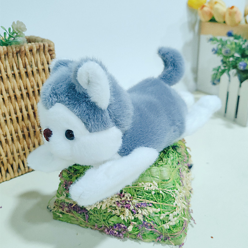 Anneau de claque Husky