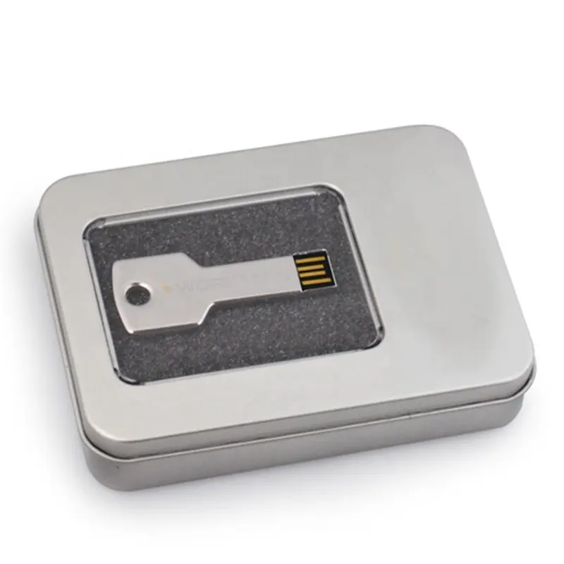 Personalizado especializados regalo Drive 2GB 4GB 8GB coche Flash Usb Stick clave