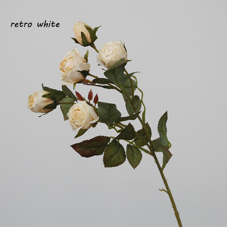 #5 rétro blanc