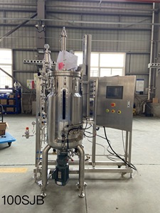 Gär kammer Edelstahl Fermenter Boden Bio reaktor Gär tanks 100L