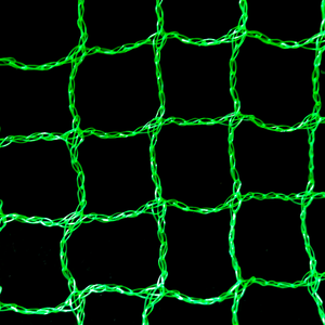 Prezzo di fabbrica verde rete anti uccelli agricola rete per uccelli di alta qualità - Product Image 5