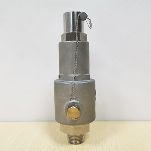 -196 Degree Stainless Steel 304 1/2inch 5Mpa NPT Cryogenic Relief <strong>Valve</strong> <strong>Spring</strong> Loaded <strong>Safety</strong> <strong>Valve</strong> For LOX