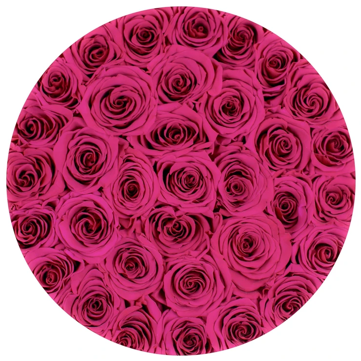 Rosy