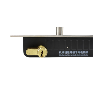 Serratura a chiave elettrica dropbolt blocco porta mortasa per controllo accessi carte porta e ascensore multi cancello di controllo video citofono - Product Image 4