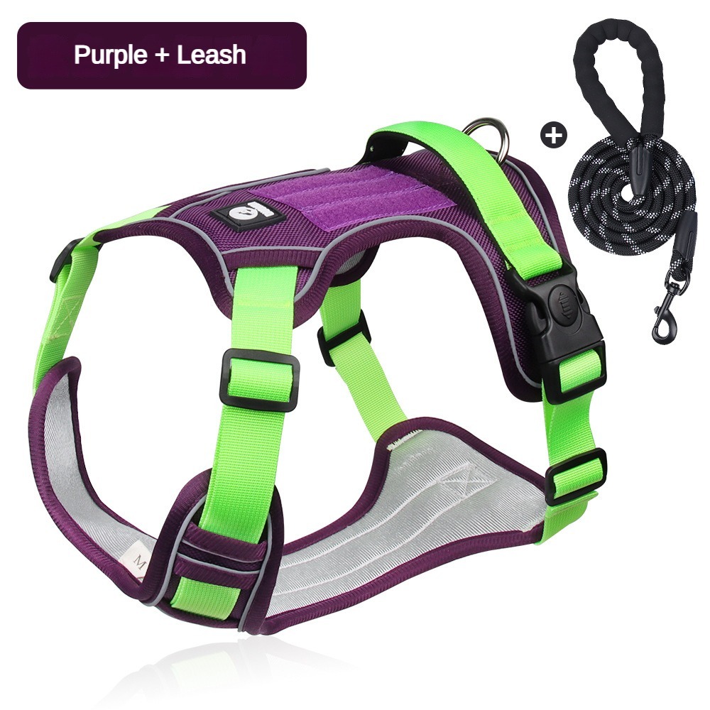 Purple+leash set