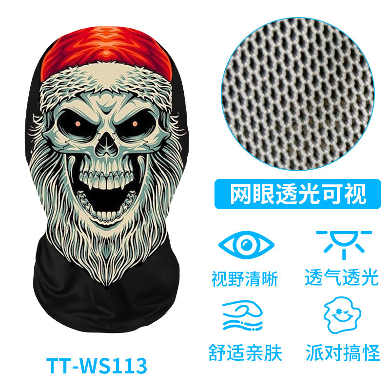 TT-WS113