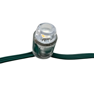 50 Pixel/stringa indirizzabile DC5V DC12V SK6812-RGBW(3000K) SMD Pixel nodo proiettile 12mm foro aperto IP68 3pin filo verde - Product Image 2