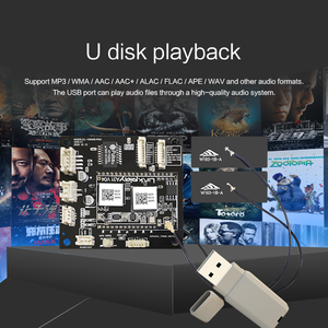 Módulo receptor de audio Bluetooth y wifi inalámbrico multihabitación al por mayor con entrada auxiliar, interfaz USB Play y Ethernet para el hogar - Product Image 6