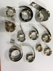 Custom Stainless Steel Flat <strong>Spring</strong>