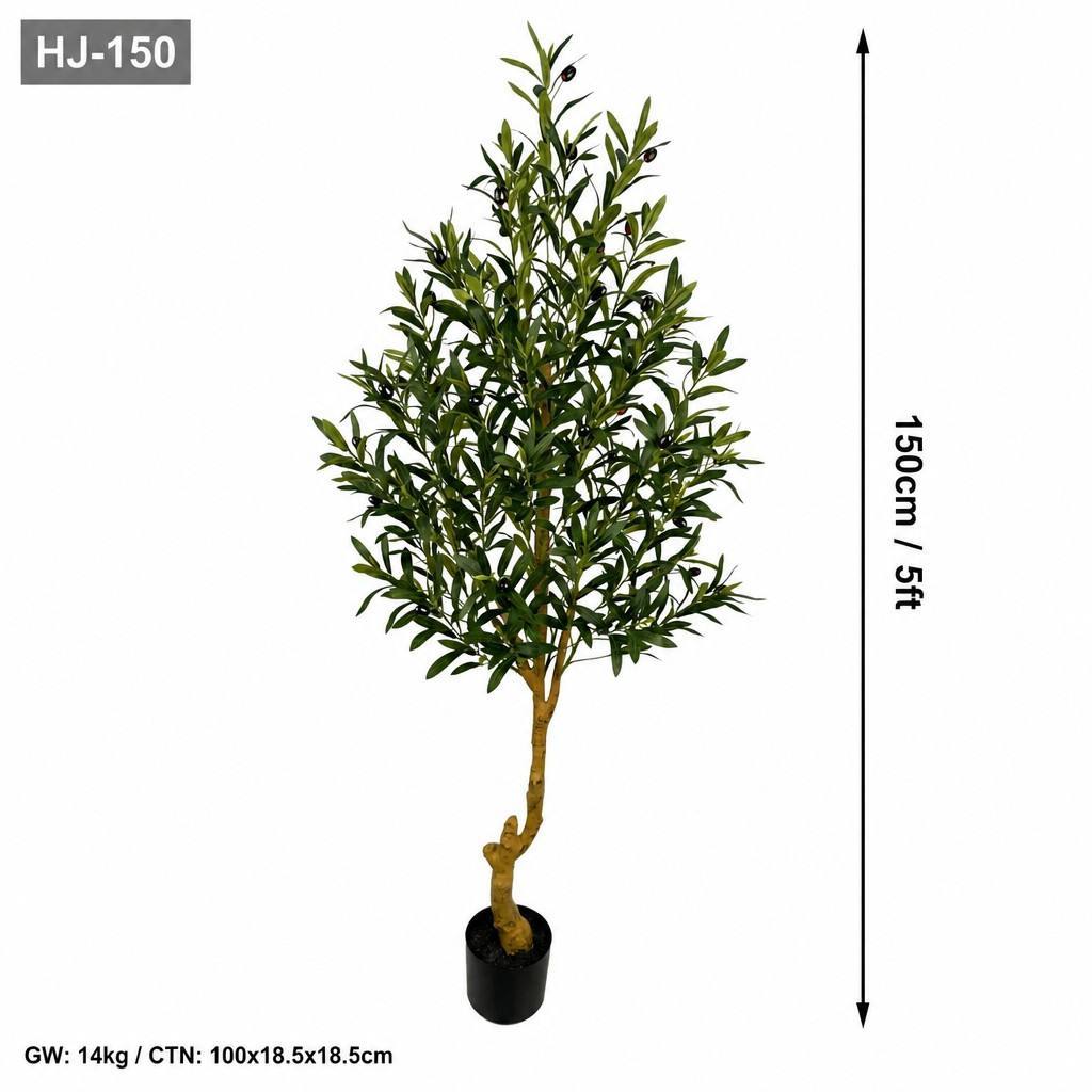 1.5m olive