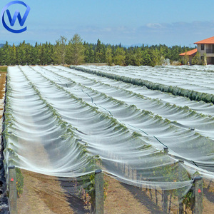 Rollo de corte de malla de jardín Mealy Bug y Control de plagas Anti Bee Bug Cover Red de tela 110 Gsm Red de insectos para agricultura de invernadero