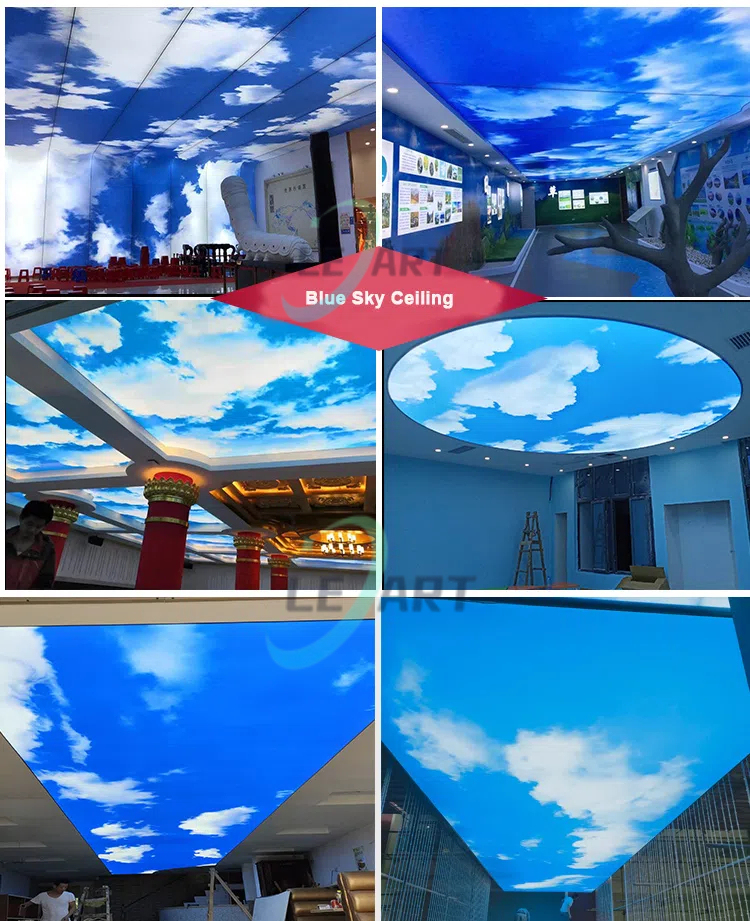 Blue Sky ceiling