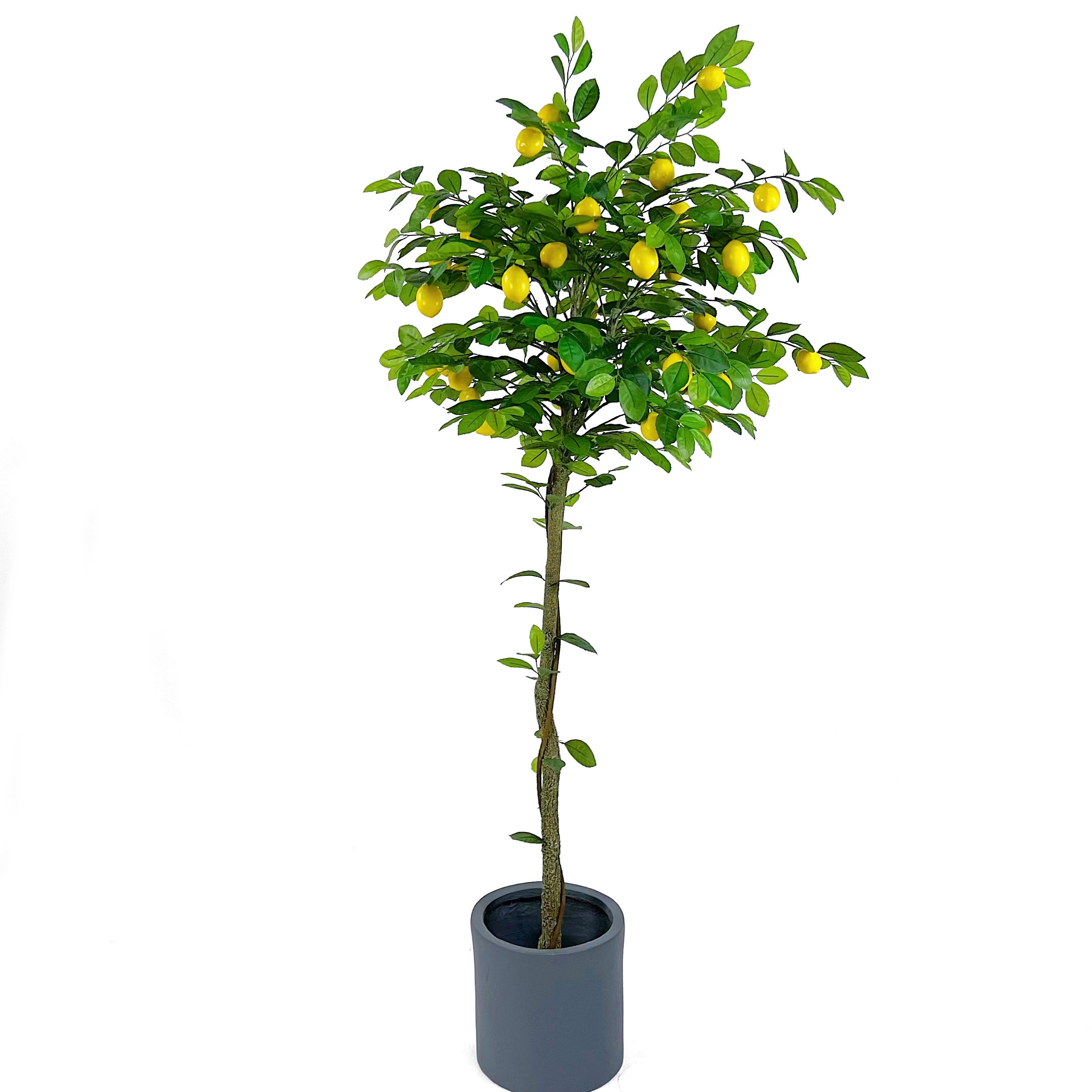 180 cm - 2