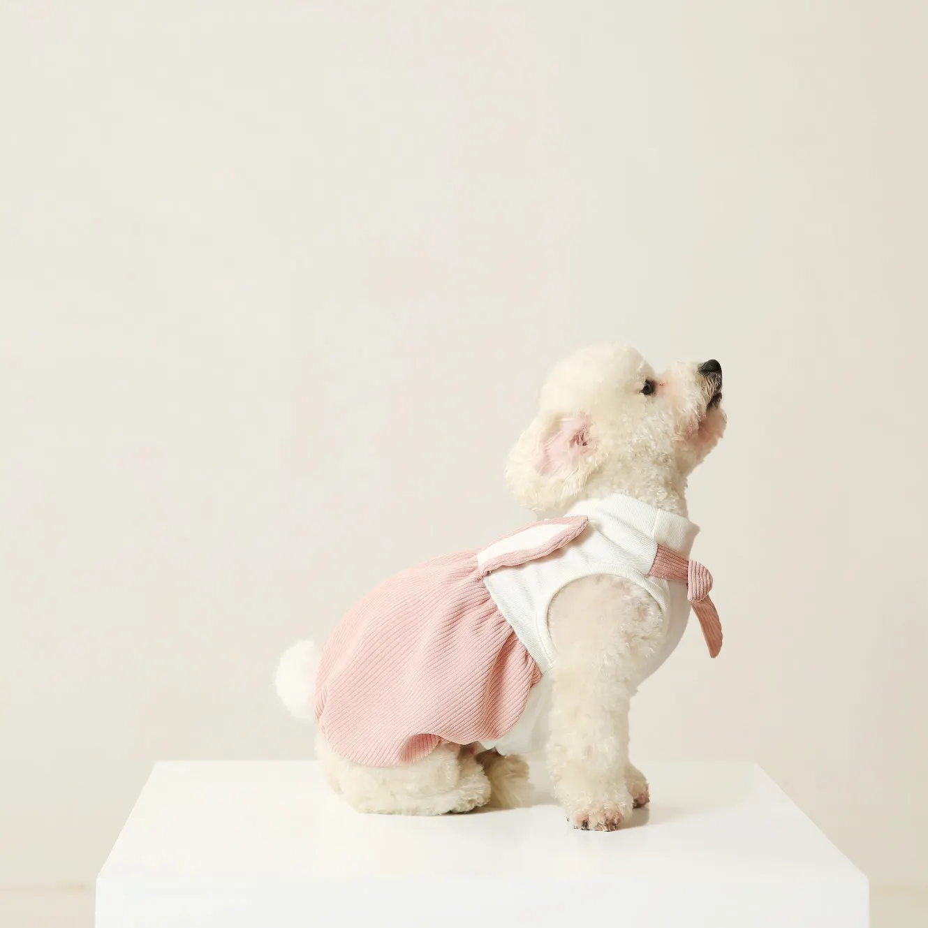UFBemo – vêtements en coton style lapin pour animaux de compagnie, robes, jupes, vêtements fantaisie pour chiens