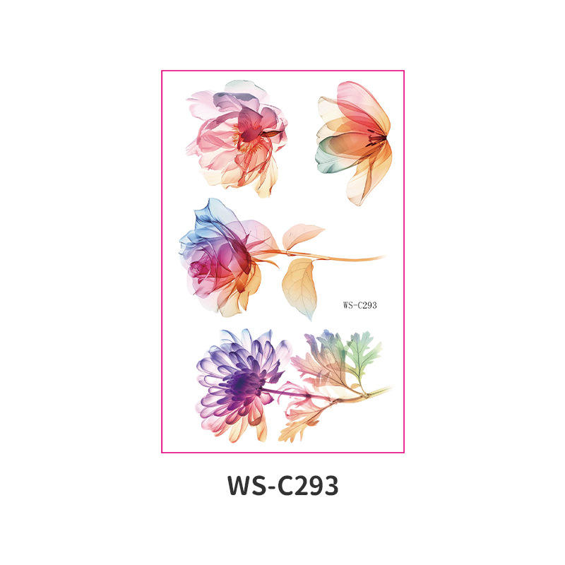 WS-C293