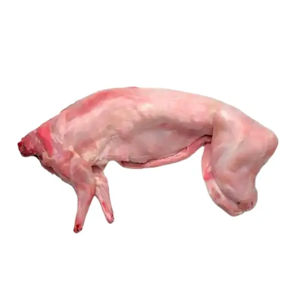 Hueso de pata trasera de conejo congelado sin piel-Carne de conejo entera, carne de canguro, carne de búfalo para uso en alimentos para humanos/mascotas.