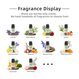 <strong>Deluxe</strong> Custom <strong>Oil</strong>-Based Aroma Essential for Reed Diffuser <strong>Oils</strong> Concentrated Perfume for Enhanced Aroma Experience - Product Image 3