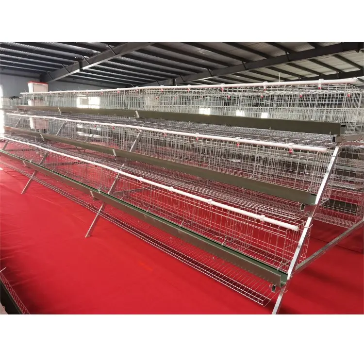 Jaula de capas comercial para aves de corral, jaula de 6 capas para animales de codorniz, 200-300, alimentación automática para cría de codorniz