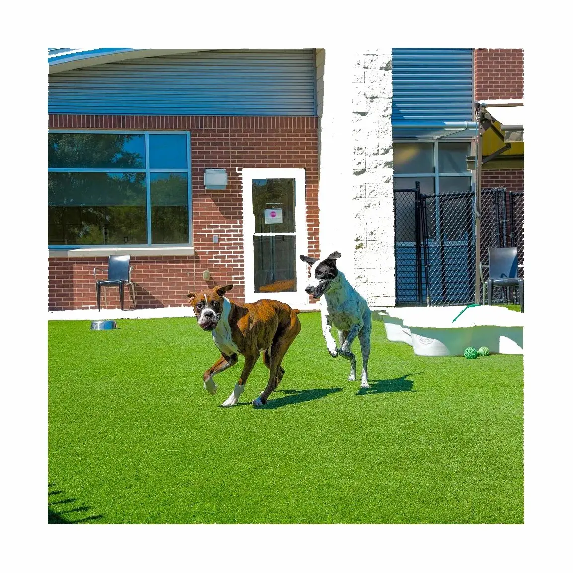 Çim saha suni çim çim Dupont sentetik halı Pet köpek lazımlık işemek çimenlik çimi yavru eğitim