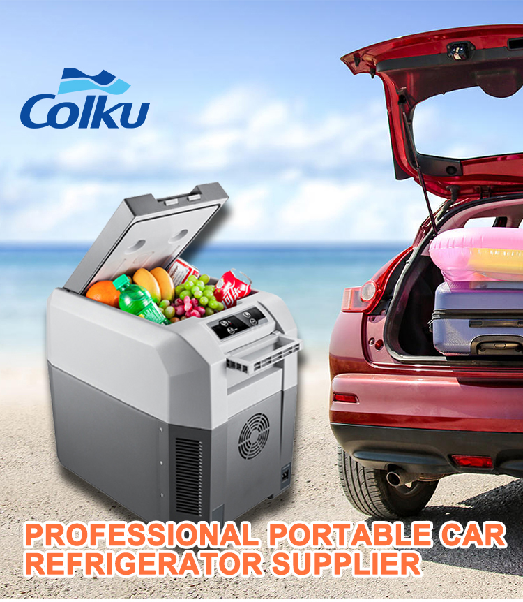 Mobile Compressor Car Cooler 33L Mini Fridge Freezer Dc 12v 24v Portable Car Fridge