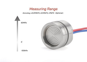 PT124B-3102 Customizable <strong>Analog</strong> <strong>Output</strong> Oil Filled Piezoresistive Silicon Pressure <strong>Sensor</strong> Core - Product Image 2