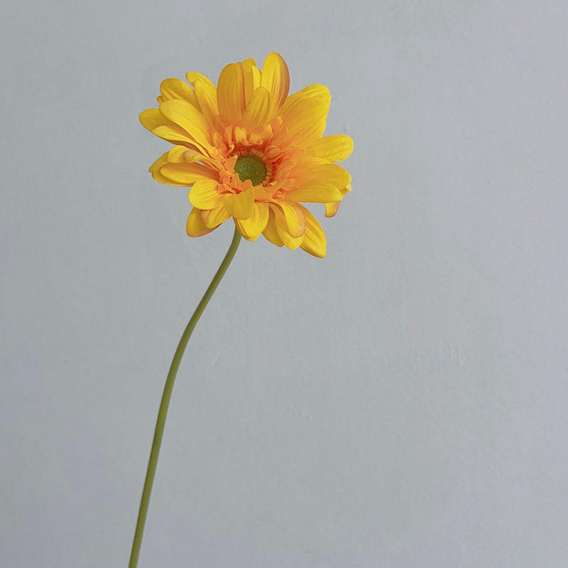 Amarillo