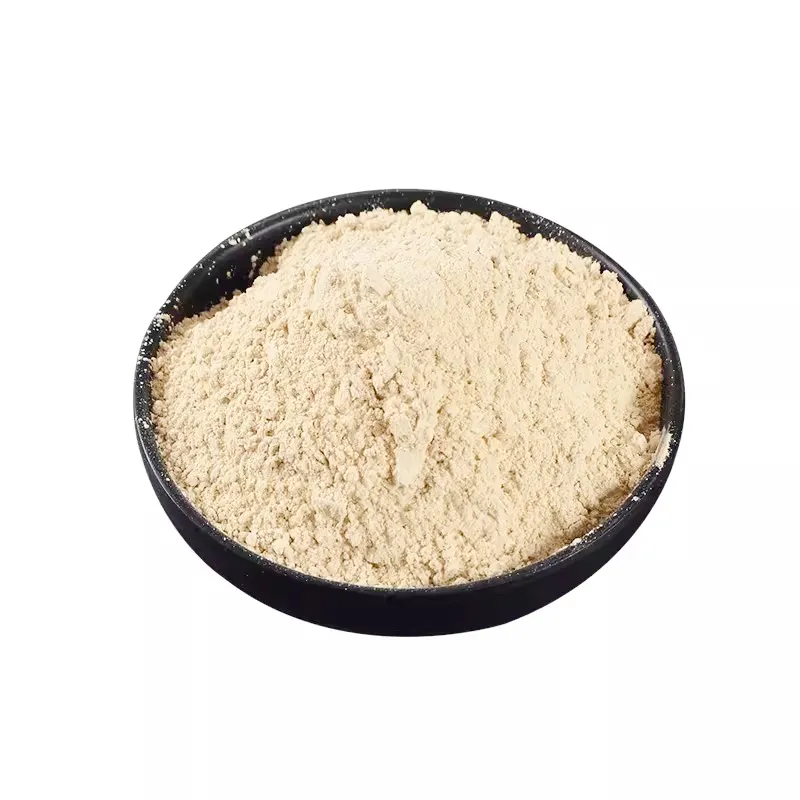 2024 per uso alimentare aglio fresco disidratato in polvere all'ingrosso acquisto all'ingrosso affidabile aglio in polvere