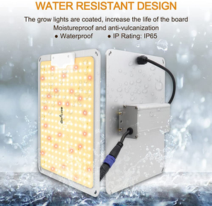 Tam spektrum 100W LED bitki büyüme ışığı devam sebzeleri daha hızlı ve daha iyi - Product Image 2