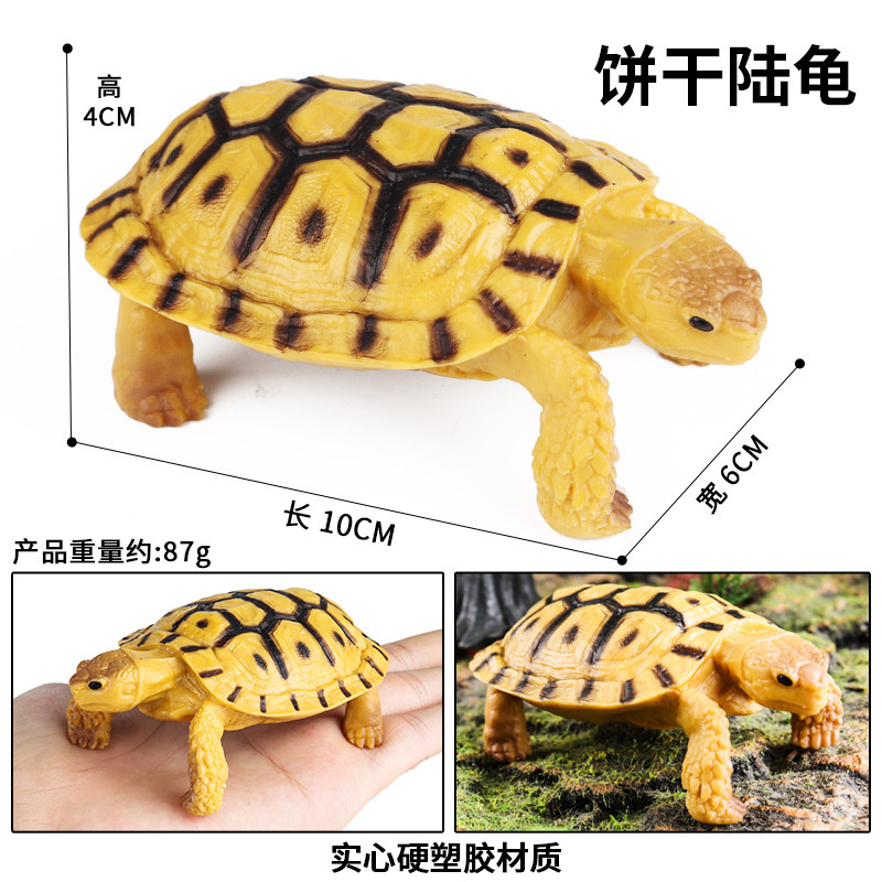 Colorato S594 Cookie Tortoise (Dorso Nero)