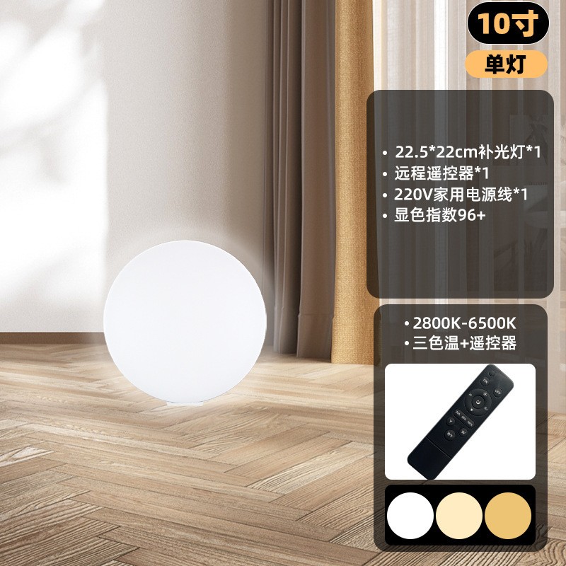 10 pouces-Lampe unique (PF-26)