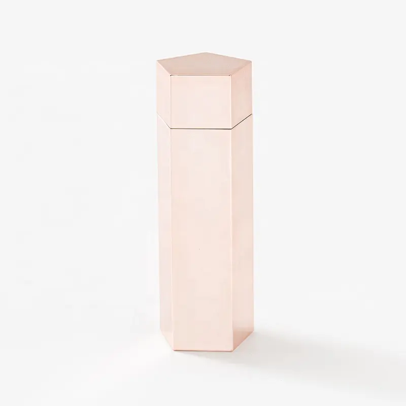 3.5g thiết kế mới ngũ giác sang trọng Rose Gold rỗng Ống Son môi UV Son môi Container hình dạng độc đáo bao bì