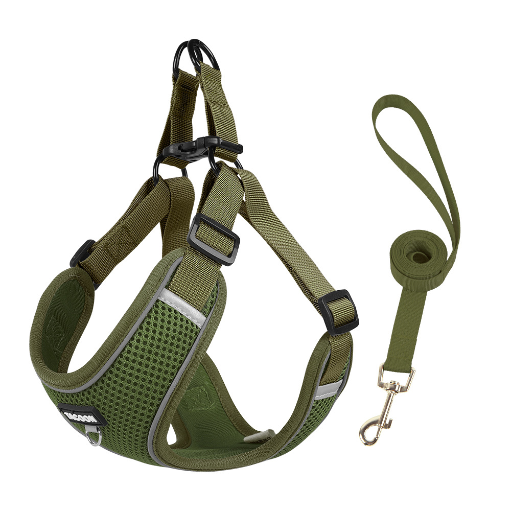 Olive Green