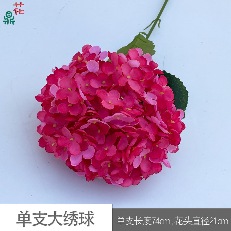 Hydrangée simple, grande taille, rose rouge WH