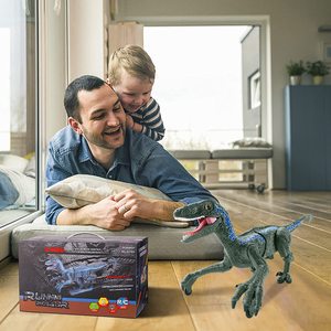 Yeni 2.4g 8ch hayvan modeli oyuncaklar plastik ses ve işık sprey Rc uzaktan yürüyüş dinozor oyuncak çocuklar için simüle ile - Product Image 4