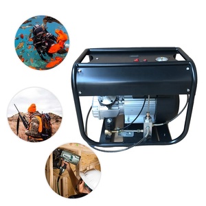 TUXING yüksek basınç otomatik tasfiye 4500psi/300bar/30mpa otomatik kapanma tüplü dalış avcılık yağ-su ayırma PCP hava kompresörü - Product Image 1