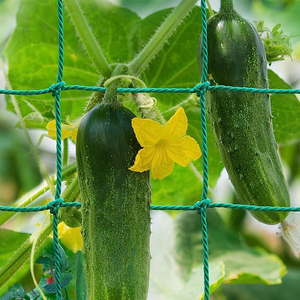 Clematis salatalık domates için güçlü destek 2x2 kafes net rulo 5x350/tırmanma tesisleri için kafes örgü - Product Image 3