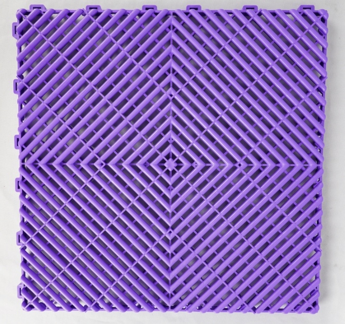 Viola