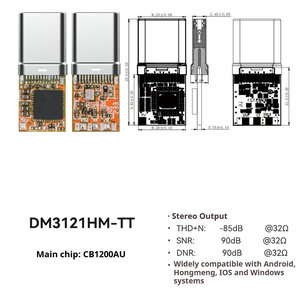 USB Tipo-C <span class=keywords><strong>Digital</strong></span> Áudio Circuito Módulos com Microfone Estéreo Acessório & Peças para Celulares PCs & ACs PCBA