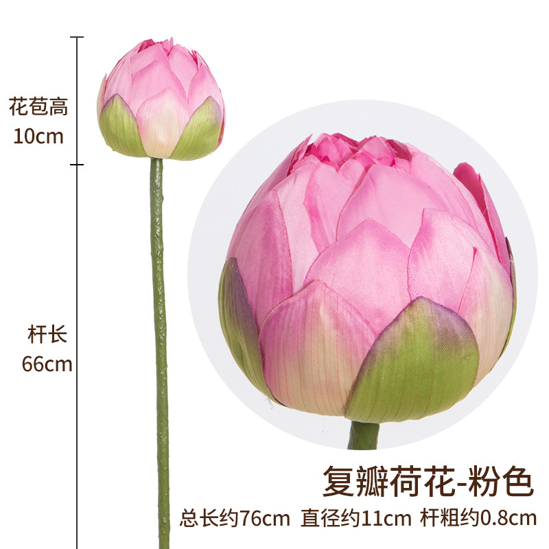 สีชมพู