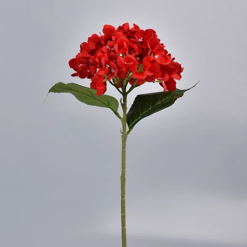 Hortensia roja